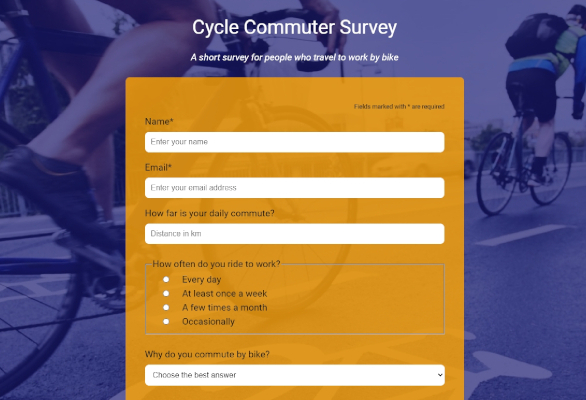 Bike Survey screenshot